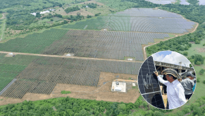 Parque Solar Fotovoltaico